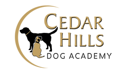 Cedar Hills Dog Academy