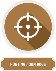 Hunting/Gun Dog